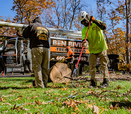 employees of tree companies in Smithville clean-up